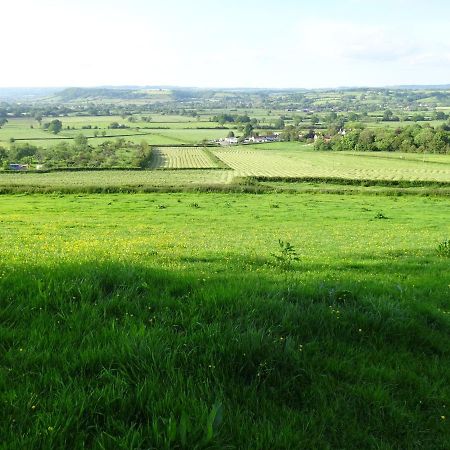 The Lazy Shepherd East Pennard Luaran gambar
